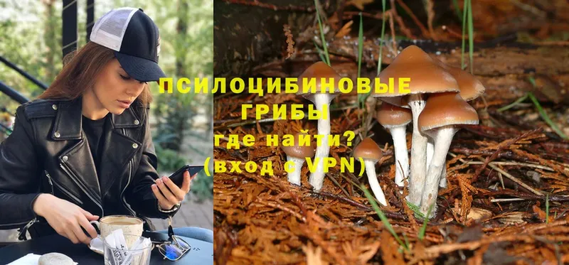 omg онион  Фёдоровский  Псилоцибиновые грибы Psilocybe  сколько стоит 